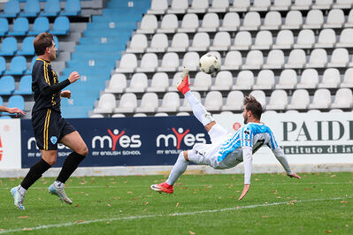 SPAL ARS ET LABOR - MESOLA