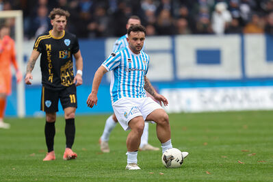 SPAL ARS ET LABOR - MESOLA