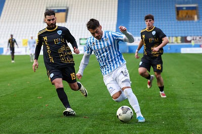 SPAL ARS ET LABOR - MESOLA