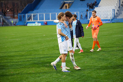 SPAL ARS ET LABOR - MESOLA