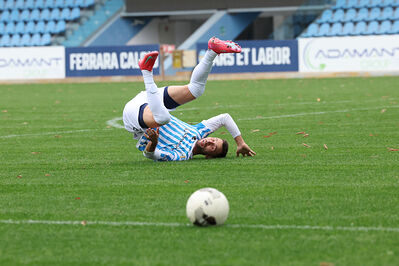 SPAL ARS ET LABOR - MESOLA