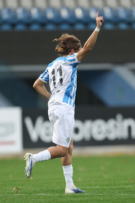 SPAL ARS ET LABOR - MESOLA