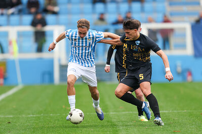 SPAL ARS ET LABOR - MESOLA