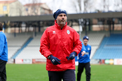 SPAL ARS ET LABOR - MESOLA