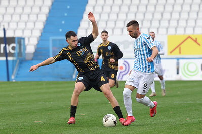 SPAL ARS ET LABOR - MESOLA