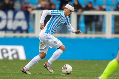 SPAL ARS ET LABOR - MESOLA