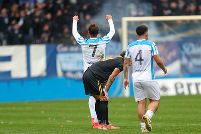 SPAL ARS ET LABOR - MESOLA