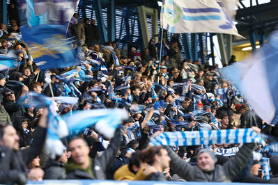 SPAL ARS ET LABOR - MESOLA