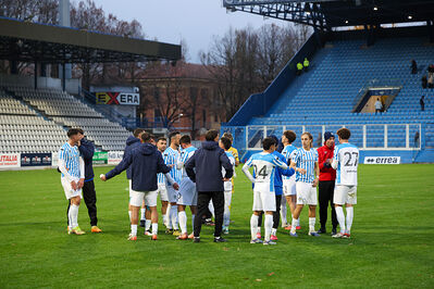 SPAL ARS ET LABOR - MESOLA