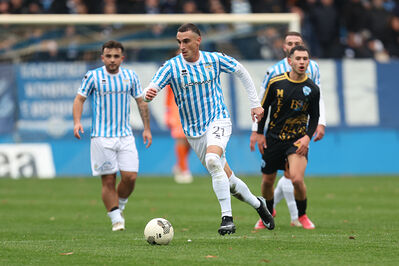 SPAL ARS ET LABOR - MESOLA