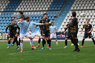 SPAL ARS ET LABOR - MESOLA