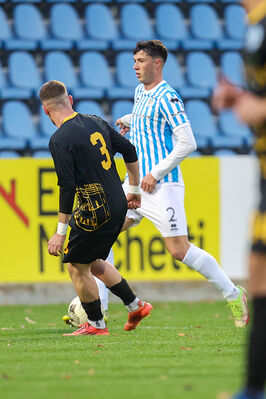 SPAL ARS ET LABOR - MESOLA