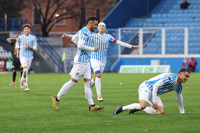 SPAL ARS ET LABOR - MESOLA