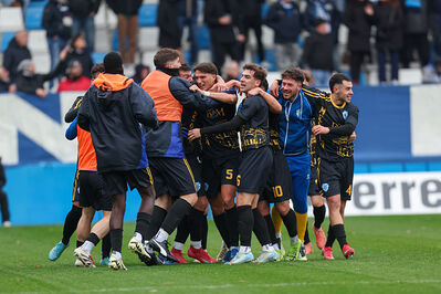 SPAL ARS ET LABOR - MESOLA