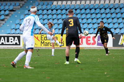 SPAL ARS ET LABOR - MESOLA