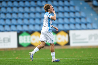 SPAL ARS ET LABOR - MESOLA