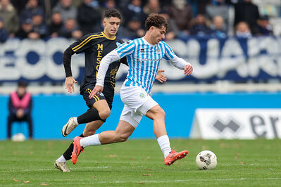 SPAL ARS ET LABOR - MESOLA