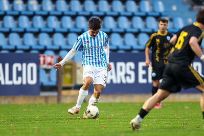 SPAL ARS ET LABOR - MESOLA