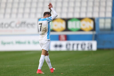 SPAL ARS ET LABOR - MESOLA