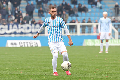 SPAL ARS ET LABOR - MESOLA