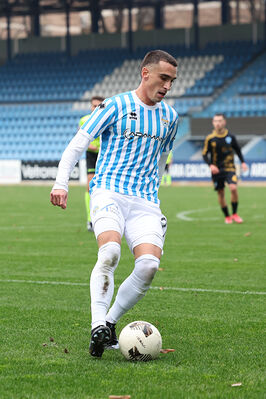 SPAL ARS ET LABOR - MESOLA