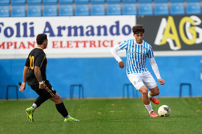 SPAL ARS ET LABOR - MESOLA