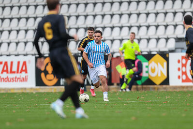 SPAL ARS ET LABOR - MESOLA