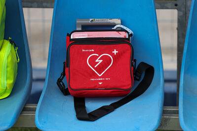 SPAL ARS ET LABOR - MESOLA