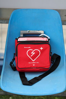 SPAL ARS ET LABOR - MESOLA