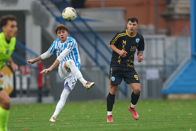 SPAL ARS ET LABOR - MESOLA