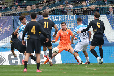 SPAL ARS ET LABOR - MESOLA