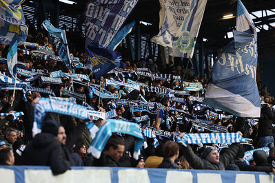 SPAL ARS ET LABOR - MESOLA