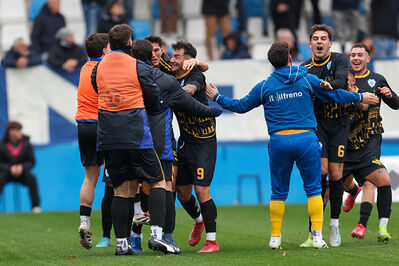 SPAL ARS ET LABOR - MESOLA