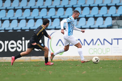 SPAL ARS ET LABOR - MESOLA