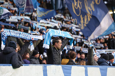 SPAL ARS ET LABOR - MESOLA