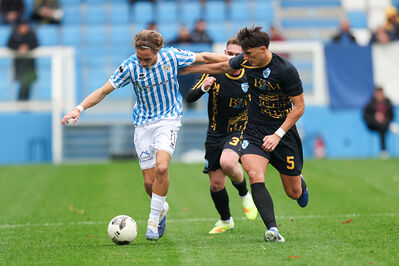 SPAL ARS ET LABOR - MESOLA