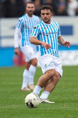 SPAL ARS ET LABOR - MESOLA