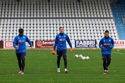 SPAL ARS ET LABOR - MESOLA