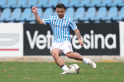 SPAL ARS ET LABOR - MESOLA