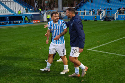 SPAL ARS ET LABOR - MESOLA