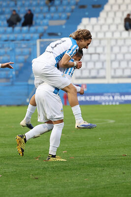 SPAL ARS ET LABOR - MESOLA