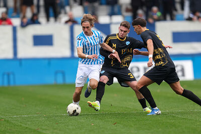 SPAL ARS ET LABOR - MESOLA