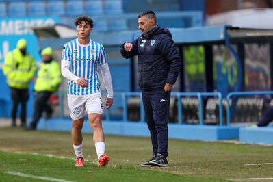 SPAL ARS ET LABOR - MESOLA