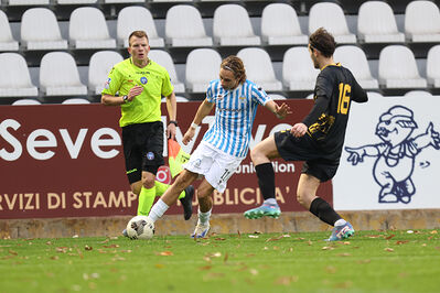 SPAL ARS ET LABOR - MESOLA
