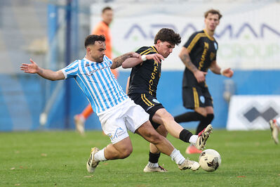 SPAL ARS ET LABOR - MESOLA