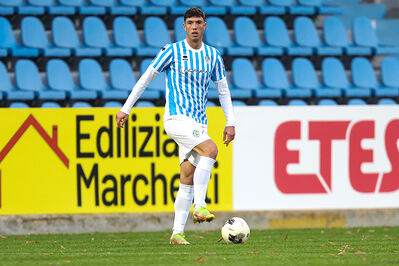 SPAL ARS ET LABOR - MESOLA