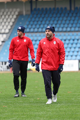 SPAL ARS ET LABOR - MESOLA