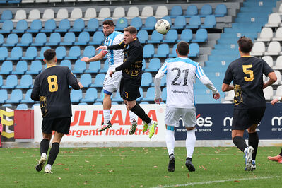 SPAL ARS ET LABOR - MESOLA