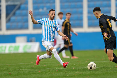 SPAL ARS ET LABOR - MESOLA