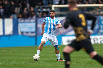 SPAL ARS ET LABOR - MESOLA